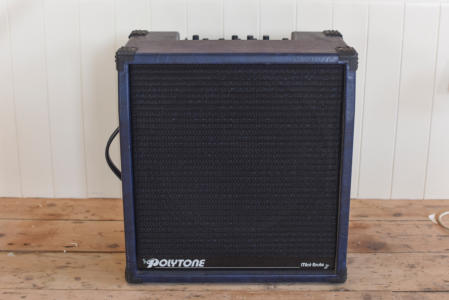 Polytone Mini Brute combo